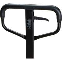 Transpalette &agrave; roues en acier, Acier, 48" lo x 27" la, Capacit&eacute; 5500 lb M & M Nord Ouest Inc