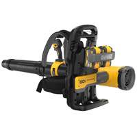 Ensemble souffleur dorsal sans balais et sans fil MAX*, 60 V, &agrave; pile M & M Nord Ouest Inc