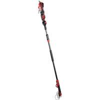 2-in-1 Professional Cordless Telescopic Pole Pruning Shear (Tool Only) M & M Nord Ouest Inc