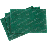 Tampons manuels Scotch-Brite, 9" lo x 6" la M & M Nord Ouest Inc