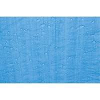 B&acirc;che, Standard, Bleu, 7' x 5' x 4 mils M & M Nord Ouest Inc