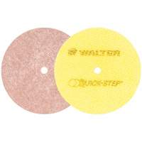 Quick-Step Instant Polish Discs, 5" Dia. M & M Nord Ouest Inc