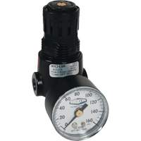 Wilkerson Miniature Regulator R04, 1/4" NPT, 300 psi Max. PSI, Standard M & M Nord Ouest Inc