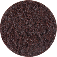 Standard Abrasives Surface Conditioning Discs, 2" Dia., Coarse Grit M & M Nord Ouest Inc