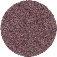 Meule en toile PSA 348D, 20" dia., Grain 60, Oxyde d'aluminium M & M Nord Ouest Inc