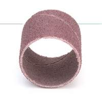 Evenrun Coated Abrasive Band, 1" x 1", Aluminum Oxide, P80 Grit M & M Nord Ouest Inc