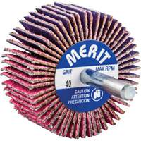 Mini-meule &agrave; lamelles mont&eacute;e sur tige, C&eacute;ramique d'alumine, Grain 40, 2" x 1" x 1/4" M & M Nord Ouest Inc