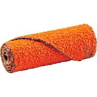 Cartouche de ruban abrasif en rouleau, 60 Grain, 1/2" dia., C&eacute;ramique d'alumine, 1-1/2" lo, 1/8" Dimension de l'arbre M & M Nord Ouest Inc