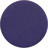 Cubitron II Hookit Cloth Disc 900DZ, 6" Dia., 60+ Grit, Ceramic, J-Weight M & M Nord Ouest Inc