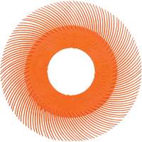 Brosse radiale en soies de pr&eacute;cision type C PN-RB sans adaptateur Scotch-Brite , C&eacute;ramique, Grain 80+, 6" dia. M & M Nord Ouest Inc