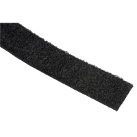 Fastener Strip, Loop, 50 yds x 1", Sew-On, Black M & M Nord Ouest Inc