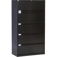 Lateral Filing Cabinet, Steel, 5 Drawers, 36" W x 18" D x 65-1/2" H, Black M & M Nord Ouest Inc