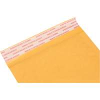 Enveloppes postales coussinées, Kraft, 5" la x 10" lo PG239 | M & M Nord Ouest Inc