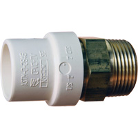 Threaded Pipe Adapter, Hub x MPT, 1" Dia., Brass/CPVC M & M Nord Ouest Inc