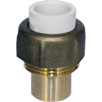 Raccord union, 1/2", PVC-C, Embout femelle x bras&eacute; M & M Nord Ouest Inc