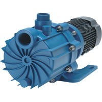 Self-Priming Magnetic Drive Pump with Carbon Bushing M & M Nord Ouest Inc