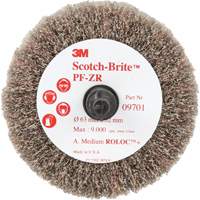 Scotch-Brite Roloc Cut and Polish Flap Brush, PF-ZR, Aluminum Oxide, Medium Grit, 2-1/2" x 1-1/4" M & M Nord Ouest Inc