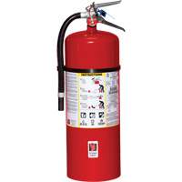 Extincteur d'incendie, ABC, Capacit&eacute; 20 lb M & M Nord Ouest Inc