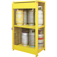 Gas Cylinder Cabinets, 12 Cylinder Capacity, 44" W x 30" D x 74" H, Yellow M & M Nord Ouest Inc