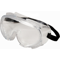 Encompass Safety Goggles, Clear Lens, Anti-Fog, Indirect Vent M & M Nord Ouest Inc