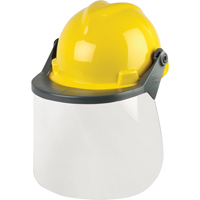 Head & Face Protection Systems M & M Nord Ouest Inc