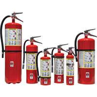Fire Extinguisher, ABC, 30 lbs. Capacity SED110 | M & M Nord Ouest Inc