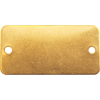 &eacute;tiquettes vierges, Laiton, 3" la x 1" h M & M Nord Ouest Inc