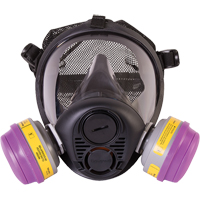Respirateur &agrave; masque complet de s&eacute;rie RU6500 de North, Silicone, Moyen M & M Nord Ouest Inc