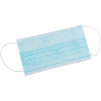 Disposable Face Masks, Non-Medical M & M Nord Ouest Inc