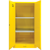 Armoire pour produits inflammables, 60 gal., 2 Porte(s), 34" La x 65" h x 34" p M & M Nord Ouest Inc