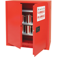 Paint/Ink Cabinet, 45 gal., 3 Shelves M & M Nord Ouest Inc