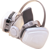 P95 Paint Spray/Pesticide Half Facepiece Disposable Respirator, Elastomer/Thermoplastic, Small M & M Nord Ouest Inc