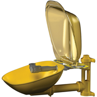 Poste de douche oculaire Halo, Installation Montage mural, Bol Plastique M & M Nord Ouest Inc