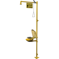 Combinaison de douche d'urgence & douche oculaire Halo M & M Nord Ouest Inc