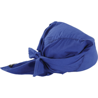 Chill-Its&reg; 6710CT Cooling Triangle Hats, Blue M & M Nord Ouest Inc
