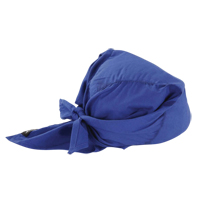 Chill-Its&reg; 6710 Cooling Triangle Hats, Blue M & M Nord Ouest Inc