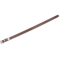 Courroies pour les jambes M & M Nord Ouest Inc