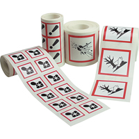 GHS Pictogram Labels, Vinyl, Roll, 4" L x 4" W M & M Nord Ouest Inc