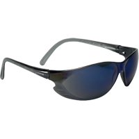Lunettes de sécurité
