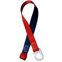 PROTECTA&reg; PRO Concrete Anchor Strap, Tie-Off, Temporary Use M & M Nord Ouest Inc