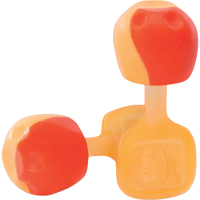 Earplugs