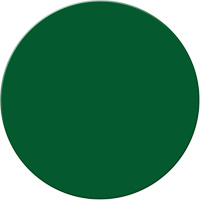 Marqueurs all&eacute;g&eacute;e/5S Armor Stripe, Cercle, 6" lo x 6" la, Vert, Plastique M & M Nord Ouest Inc