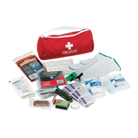 Trousse de premiers soins pour auto Dynamic, Dispositif m&eacute;dical Classe 1, Sac en nylon M & M Nord Ouest Inc