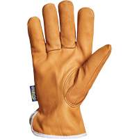 Gants de conducteur Endura, Petit, Paume en Cuir fleur de ch&egrave;vre, Thinsulate M & M Nord Ouest Inc