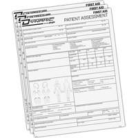 Dynamic Patient Assessment Chart M & M Nord Ouest Inc