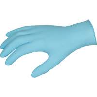 DuraShield Disposable Gloves, Large, Nitrile, 3-mil, Powder-Free, Blue M & M Nord Ouest Inc