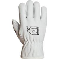 Gants de conducteur doubl&eacute;s pour l'hiver Endura, T-Grand, Paume en Cuir fleur de ch&egrave;vre, Thinsulate M & M Nord Ouest Inc