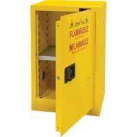Armoire pour produits inflammables, 12 gal., 1 Porte(s), 23" La x 35" h x 18" p M & M Nord Ouest Inc