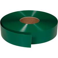Ruban de marquage tr&egrave;s r&eacute;sistant pour plancher ArmorStripe, 2" x 100', PVC, Vert M & M Nord Ouest Inc