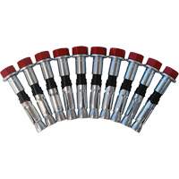 Jeu de boulons de rechange pour ancrages &agrave; anneau en D pour b&eacute;ton, Boulonn&eacute;, Usage Permanent/Temporaire M & M Nord Ouest Inc